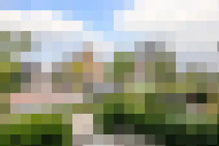 Egelnest 1 Moordrecht thumbnail 41