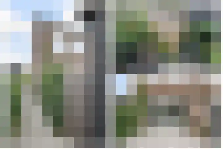 Egelnest 1 Moordrecht thumbnail 42