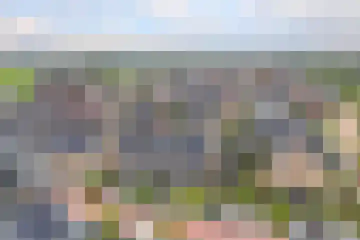 Egelnest 1 Moordrecht thumbnail 43
