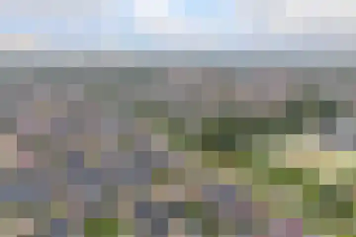 Egelnest 1 Moordrecht thumbnail 44