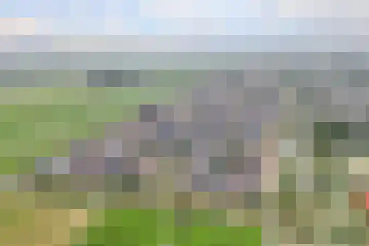 Egelnest 1 Moordrecht thumbnail 46
