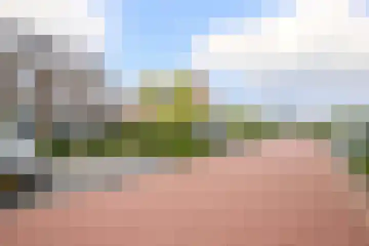 Egelnest 1 Moordrecht thumbnail 47