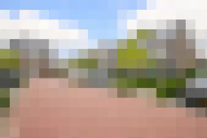 Egelnest 1 Moordrecht thumbnail 48