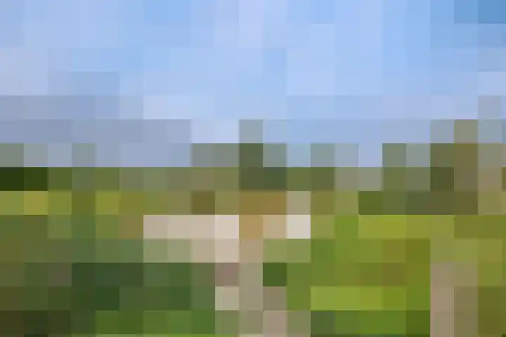 Egelnest 1 Moordrecht thumbnail 49