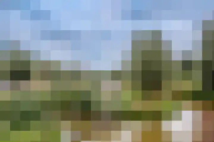 Egelnest 1 Moordrecht thumbnail 50