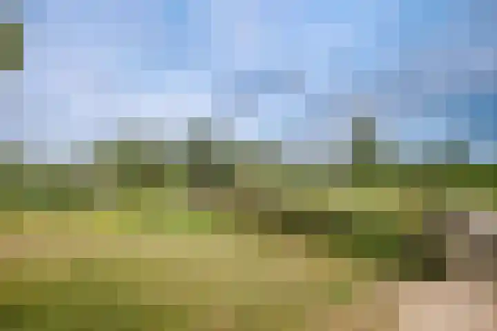 Egelnest 1 Moordrecht thumbnail 51