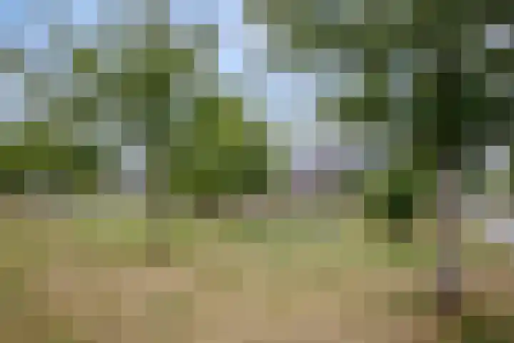 Egelnest 1 Moordrecht thumbnail 52