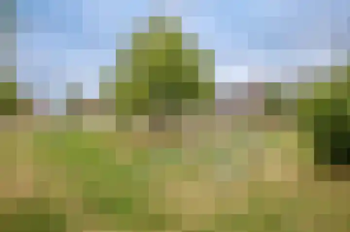 Egelnest 1 Moordrecht thumbnail 53