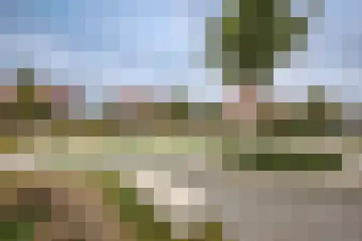 Egelnest 1 Moordrecht thumbnail 54