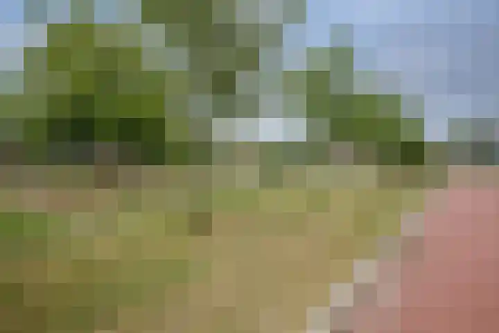 Egelnest 1 Moordrecht thumbnail 55