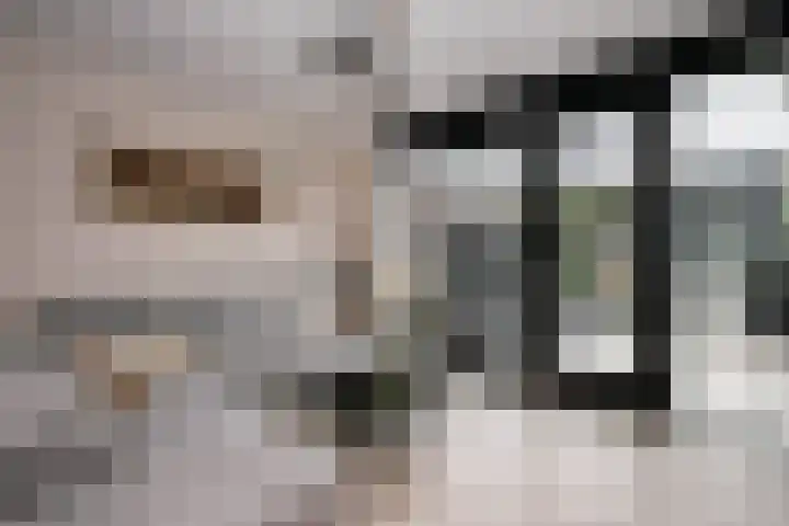 Egelnest 1 Moordrecht thumbnail 6