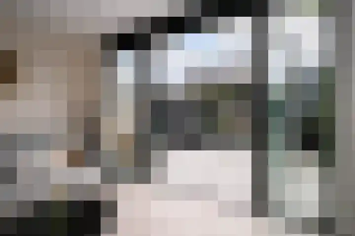 Egelnest 1 Moordrecht thumbnail 7