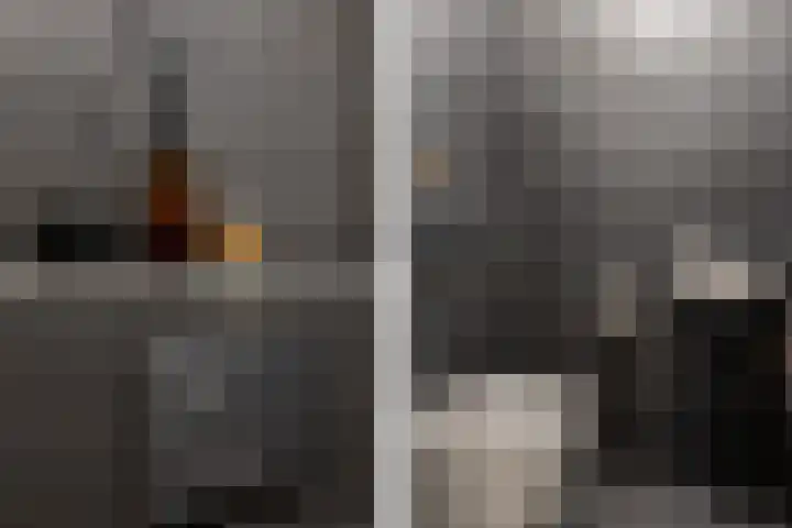 Egelnest 11 Moordrecht thumbnail 10