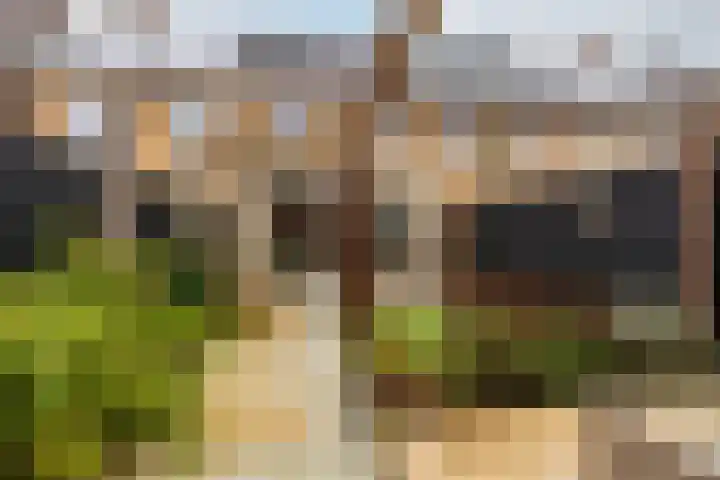 Egelnest 11 Moordrecht thumbnail 40