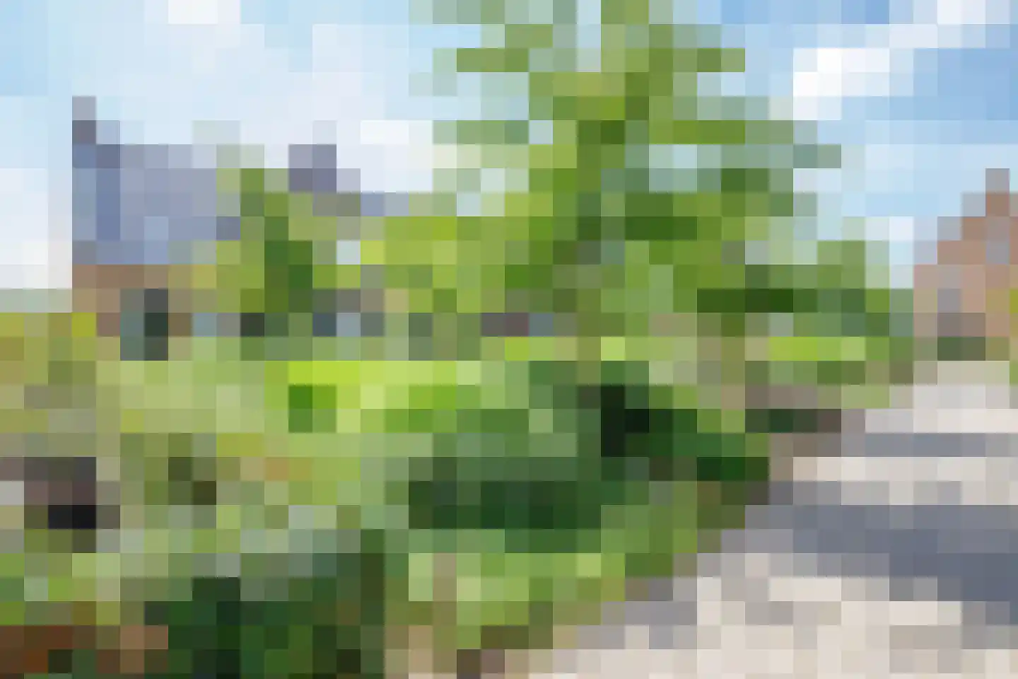 Egelnest 15 Moordrecht thumbnail 62