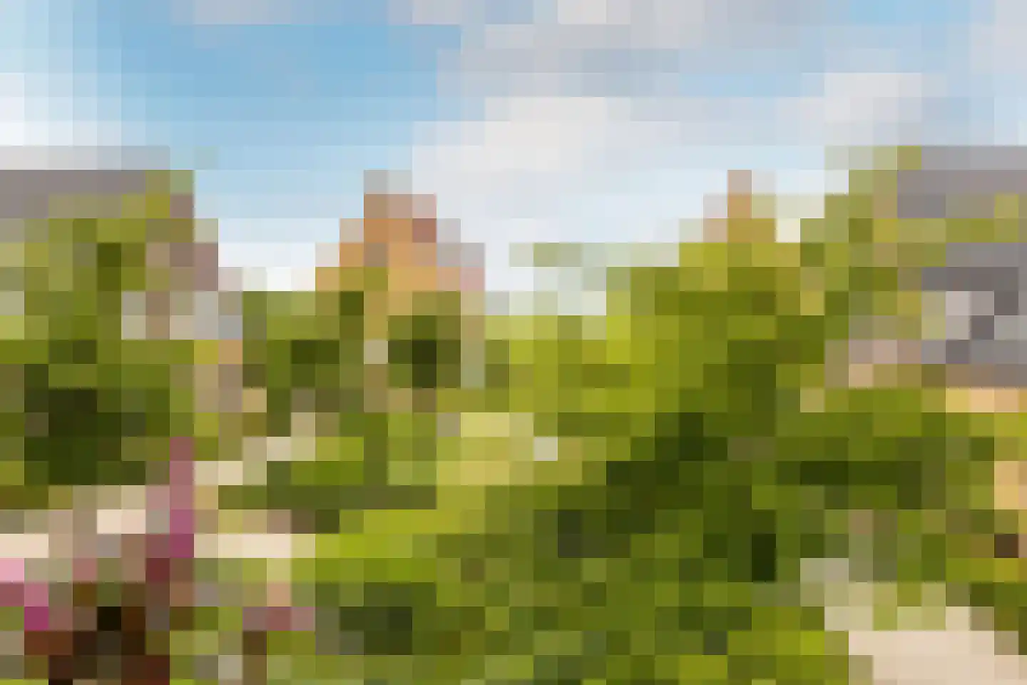 Egelnest 8 Moordrecht thumbnail 25