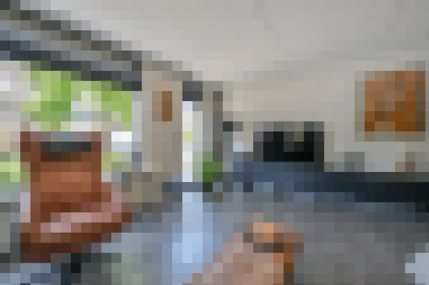 Egelpad 3 Zeewolde thumbnail 10