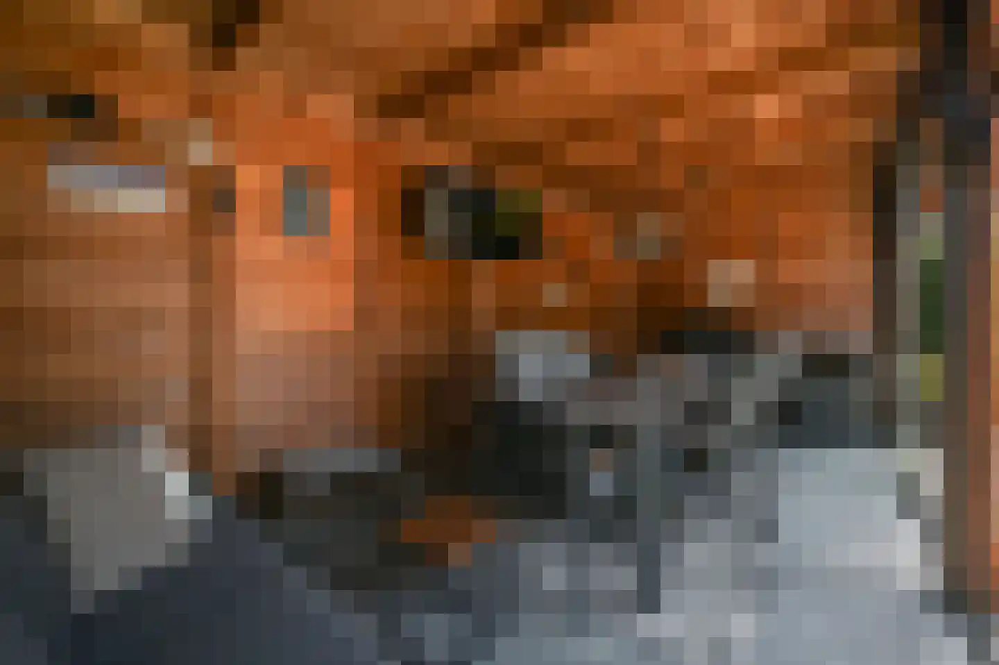 Egelpad 3 Zeewolde thumbnail 26