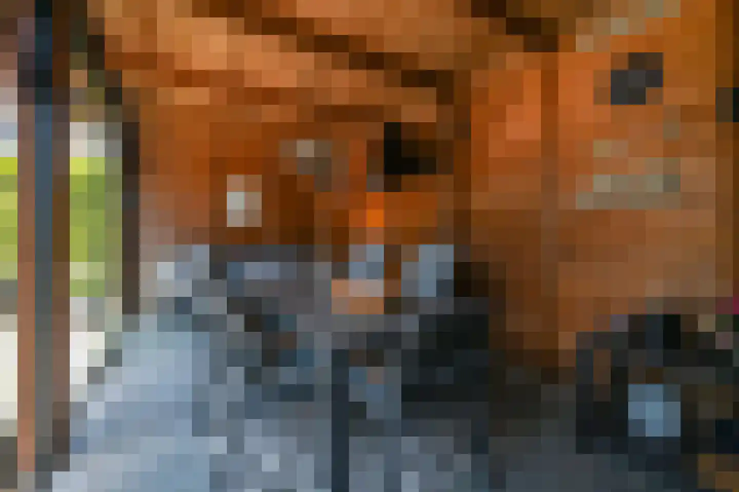 Egelpad 3 Zeewolde thumbnail 27