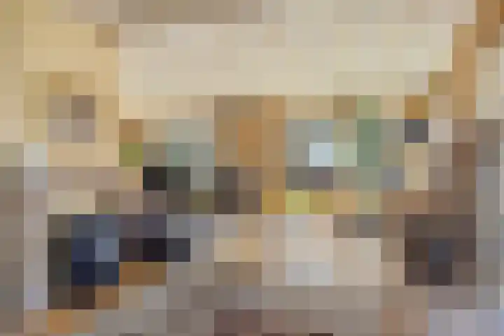 Egelshoek 12 Hilversum thumbnail 12