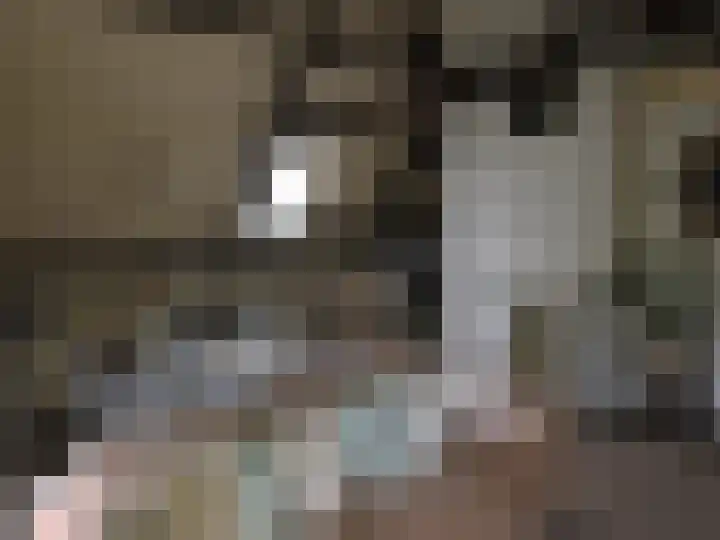 Egelshoek 12 Hilversum thumbnail 22