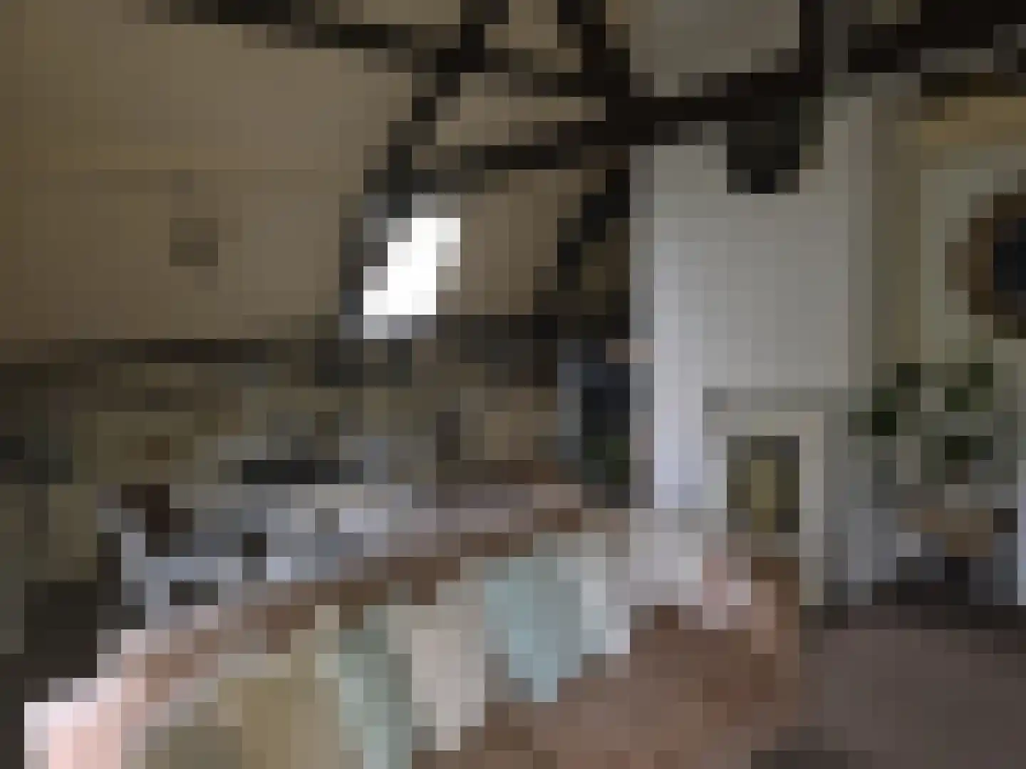 Egelshoek 12 Hilversum thumbnail 22