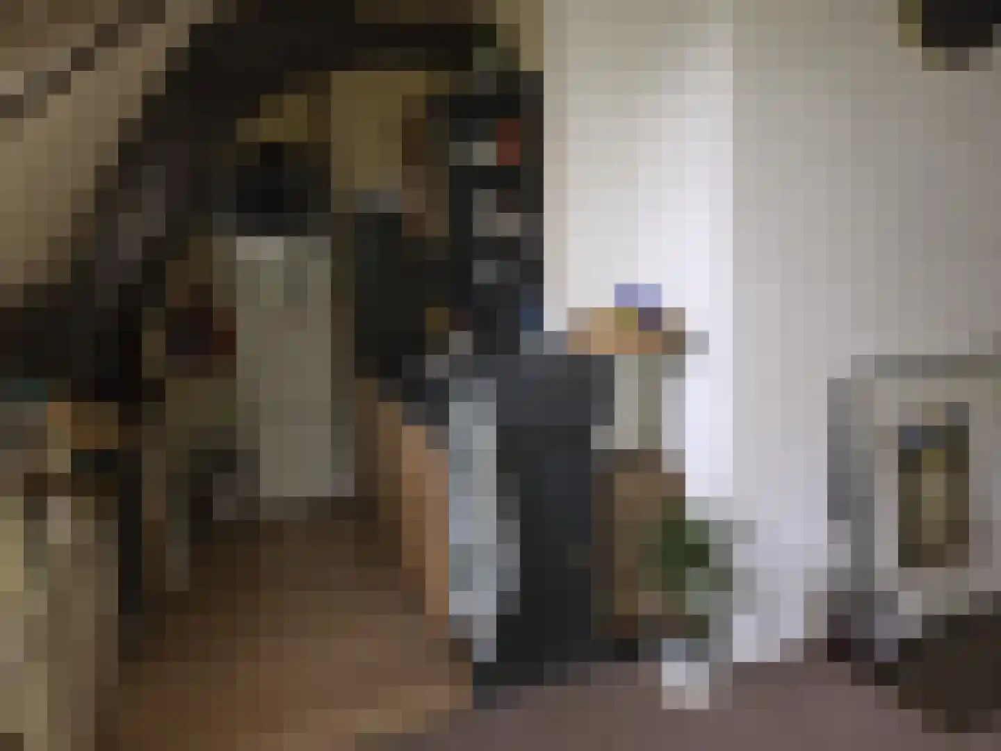 Egelshoek 12 Hilversum thumbnail 23