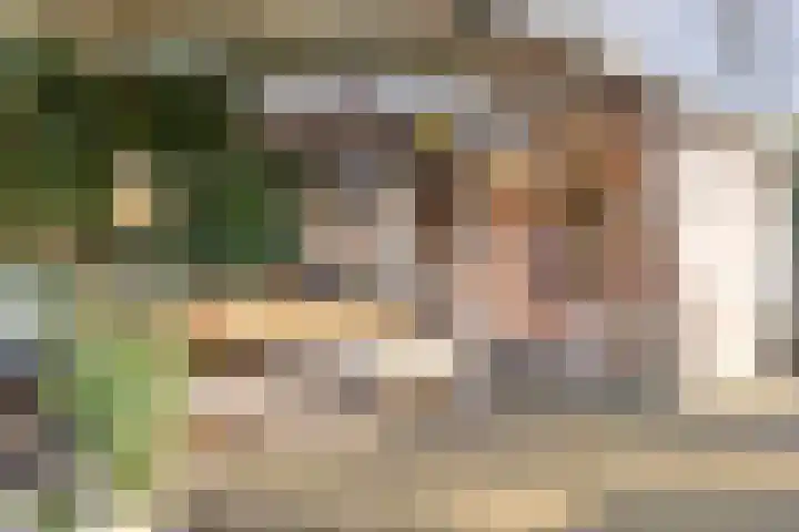 Egelshoek 12 Hilversum thumbnail 35