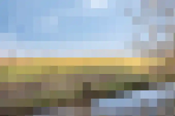 Egelshoek 12 Hilversum thumbnail 38