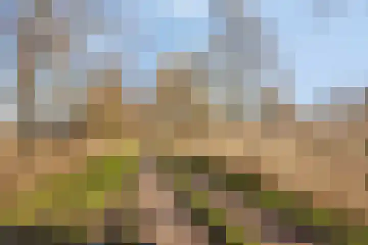 Egelshoek 12 Hilversum thumbnail 4