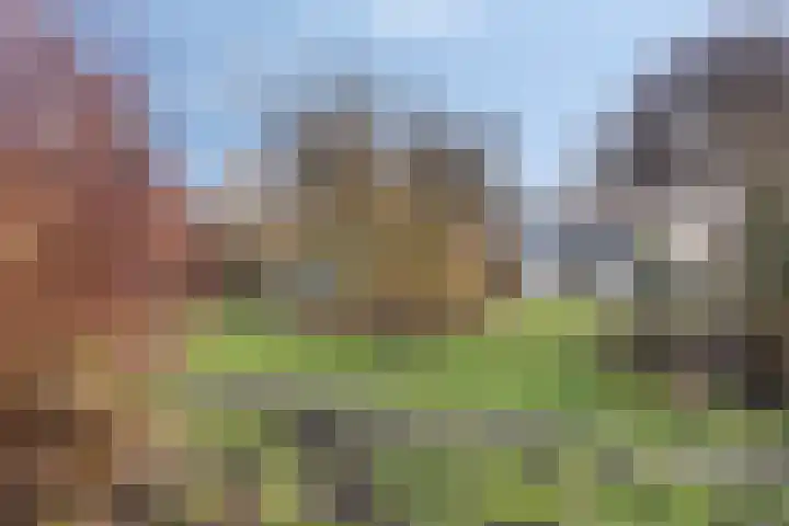 Egelshoek 12 Hilversum thumbnail 40