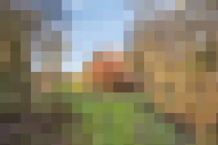 Egelshoek 12 Hilversum thumbnail 42