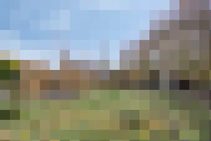 Egelshoek 12 Hilversum thumbnail 44