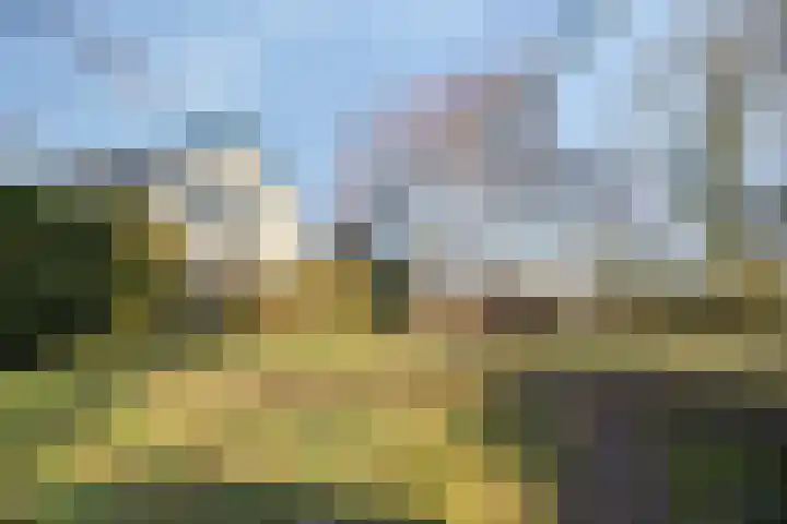 Egelshoek 12 Hilversum thumbnail 5
