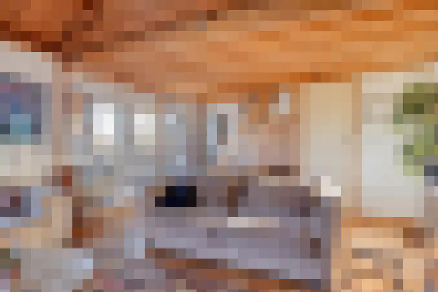 Egelshoek 12 Hilversum thumbnail 55