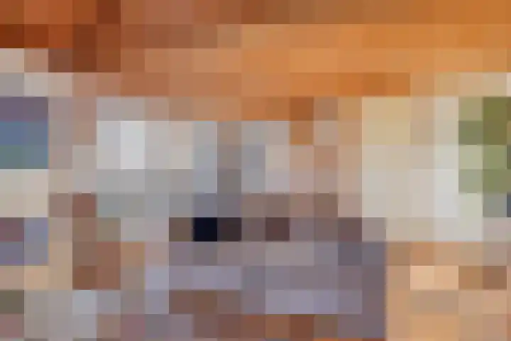 Egelshoek 12 Hilversum thumbnail 58