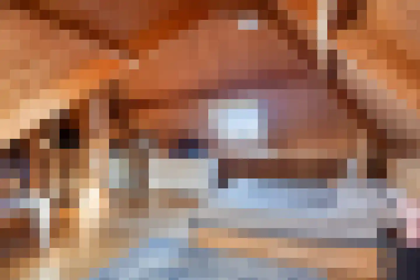 Egelshoek 12 Hilversum thumbnail 59