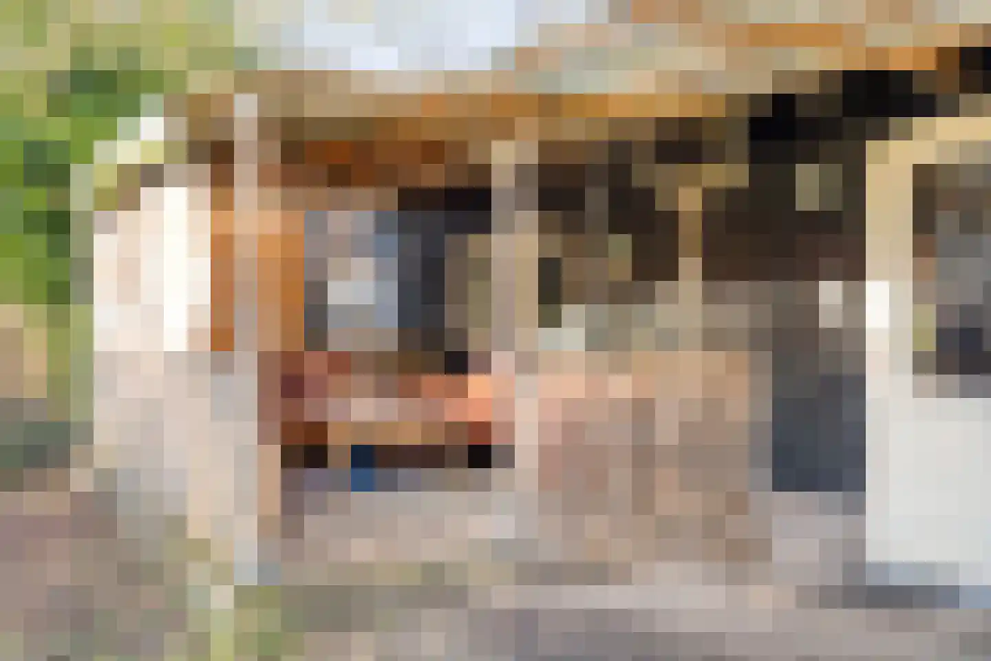 Egelshoek 12 Hilversum thumbnail 61