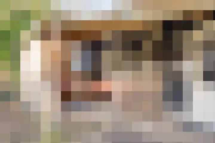Egelshoek 12 Hilversum thumbnail 64