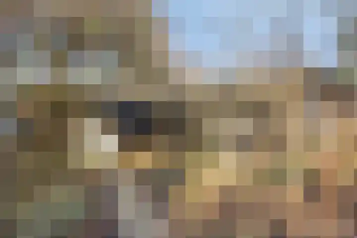 Egelshoek 12 Hilversum thumbnail 66