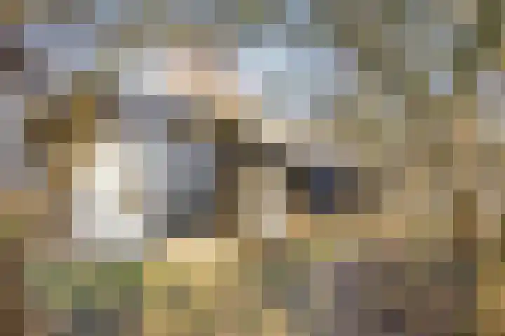 Egelshoek 12 Hilversum thumbnail 68