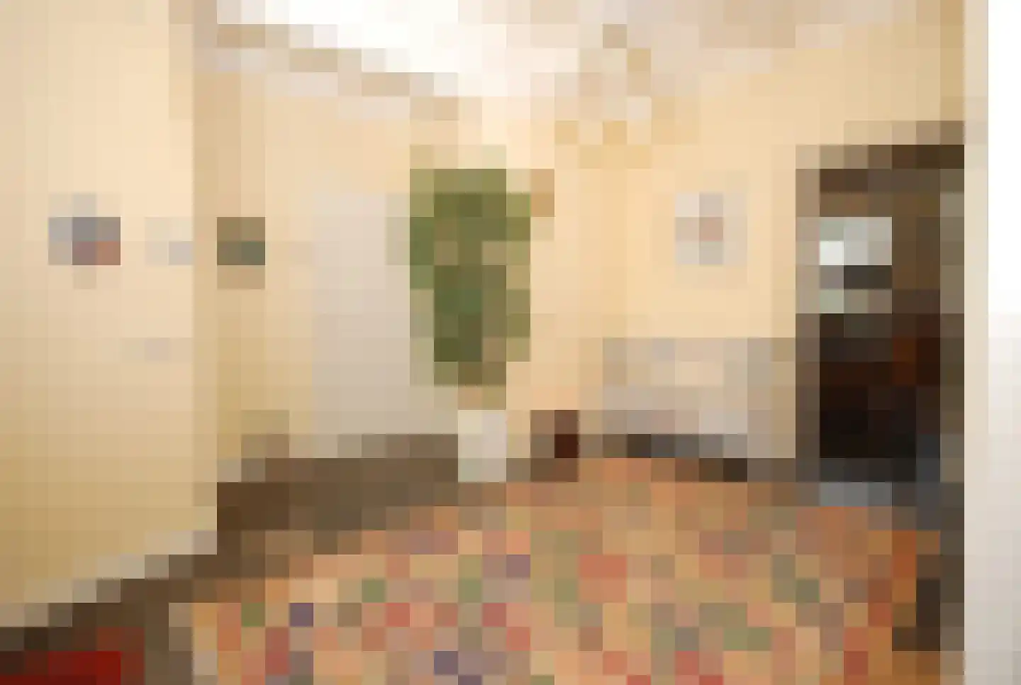 Egelshoek 12 Hilversum thumbnail 7