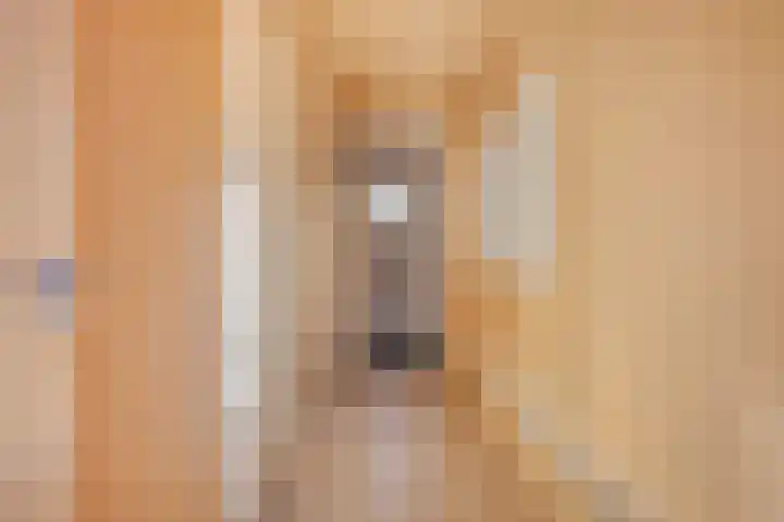 Egelshoek 12 Hilversum thumbnail 74