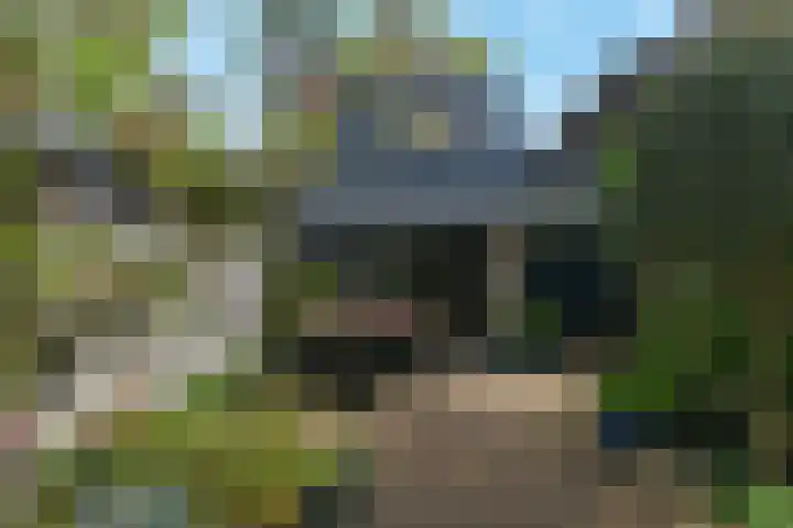 Egelsingel 14 Delft thumbnail 4