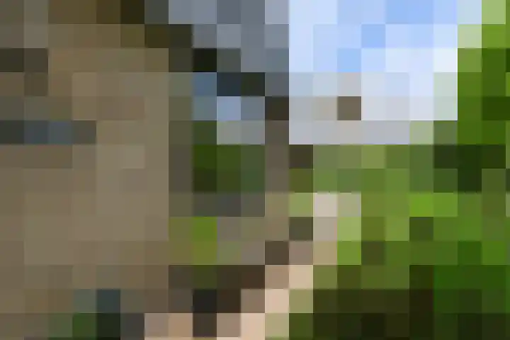 Egelsingel 14 Delft thumbnail 7
