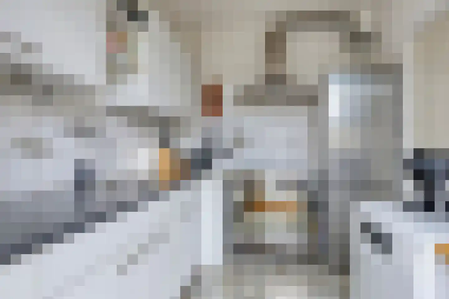 Egelskop 1 Heerenveen thumbnail 16