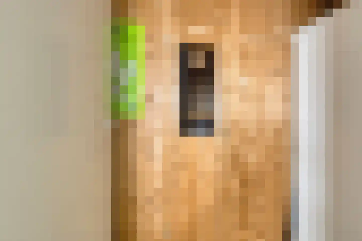 Egelskop 1 Heerenveen thumbnail 25