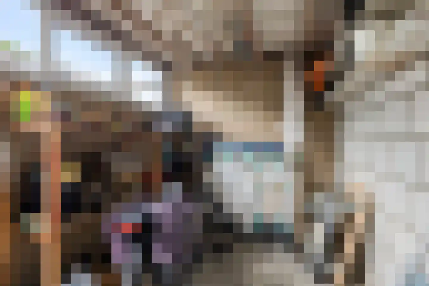 Egelskop 1 Heerenveen thumbnail 32