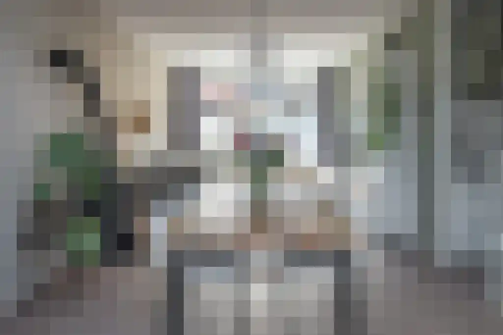 Egelskop 11 Heerenveen thumbnail 18