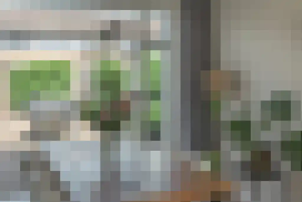 Egelskop 11 Heerenveen thumbnail 22